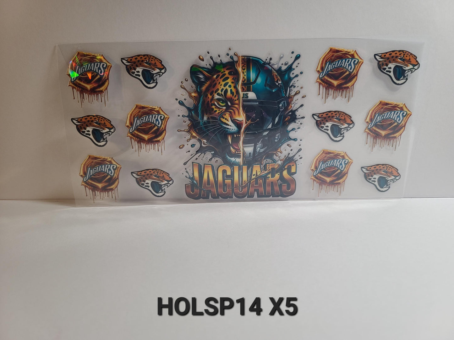 HOLSP14